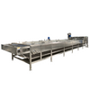 Tunnel - type Sterilizer